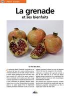 Couverture du livre « La grenade et ses bienfaits » de  aux éditions Aedis