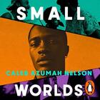 Couverture du livre « SMALL WORLDS » de Caleb Azumah Nelson aux éditions Penguin