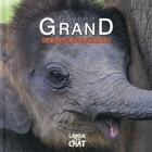 Couverture du livre « DEVENIR GRAND ; petit éléphant » de Pierre Demoitie aux éditions Langue Au Chat