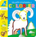 Couverture du livre « Ma petite encyclopédie à colorier ; les animaux de la montagne ; 3 ans + » de Corinne Lemerle aux éditions Lito