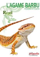 Couverture du livre « L'agame barbu - Pogona vitticeps » de Hauschild Andree aux éditions Animalia