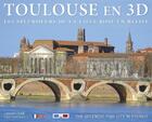 Couverture du livre « Toulouse en 3D ; les splendeurs ville rose » de Laurent Doldi aux éditions Tmso Multimedia