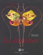 Couverture du livre « Regard sur les insectes » de Patrice Leraut et Gilles Mermet aux éditions Actes Sud
