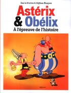 Couverture du livre « Astérix et Obélix à l'épreuve de l'histoire » de  aux éditions Popcorn