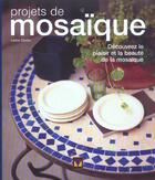 Couverture du livre « Projets de mosaique » de Dierks Leslie aux éditions Modus Vivendi