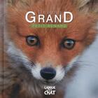 Couverture du livre « DEVENIR GRAND ; petit renard » de Pierre Demoitie aux éditions Langue Au Chat