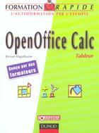 Couverture du livre « Openoffice Calc-Tableur » de Renaud Alaguillaume aux éditions Dunod