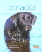 Couverture du livre « Labrador » de Pibot Pascale aux éditions Kameleo