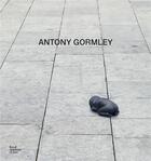 Couverture du livre « Antony Gormley » de Martin Caiger-Smith aux éditions Royal Academy