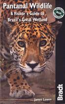 Couverture du livre « Pantanal wildlife ; a visitor's guide to Brazil's great wetland » de James Lowen aux éditions Bradt