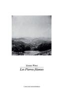 Couverture du livre « Les pierres filantes » de Livane Pinet aux éditions Atelier Contemporain