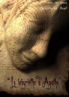 Couverture du livre « Le labyrinthe d'Agathe » de Christophe Prat aux éditions Grrr...art