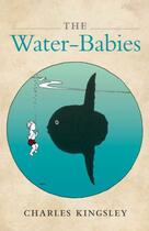 Couverture du livre « The water -babies » de Charles Kingsley aux éditions Editions Racine