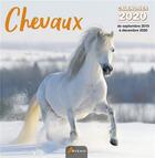 Couverture du livre « Calendrier chevaux (2020) » de  aux éditions Artemis