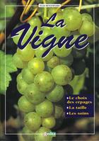 Couverture du livre « Vigne (la) » de Denis Retournard aux éditions Rustica