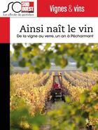 Couverture du livre « Ainsi naît le vin » de Adrien Vergnolle aux éditions Journal Sud Ouest