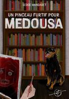 Couverture du livre « Un pinceau furtif pour Medousa » de Serge Mandaret aux éditions Vt Editions