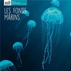 Couverture du livre « Les fonds marins » de Christina Dorner aux éditions Acces