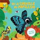 Couverture du livre « De la chenille au papillon » de Sophie Dussaussois et Marta Sorte aux éditions Tourbillon