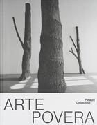 Couverture du livre « Arte Povera : 300 millions d'années » de Carolyn Christov-Bakargiev et Gabriele Guercio et Marcella Beccaria et Ricardo Passoni et Fabio Cafagna aux éditions Dilecta