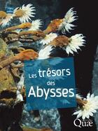 Couverture du livre « Les trésors des abysses ; désert stérile ou Eldorado ? » de Daniel Desbruyeres aux éditions Quae