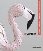 Couverture du livre « Papier ; le petit livre des grandes inspirations » de Jessica Baldry aux éditions Pyramyd