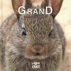 Couverture du livre « DEVENIR GRAND ; devenir grand ; petit lapin » de Pierre Demoitie aux éditions Langue Au Chat