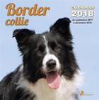 Couverture du livre « Border collie (édition 2018) » de  aux éditions Artemis