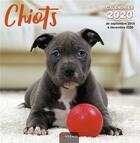 Couverture du livre « Calendrier chiots (2020) » de  aux éditions Artemis