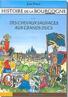 Couverture du livre « Histoire de la Bourgogne en bandes dessinées t.1 ; des chevaux sauvages aux grands ducs » de Jean Prost aux éditions Editions Du Poutan