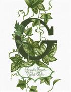 Couverture du livre « G : forever green » de Carlos Mota aux éditions Vendome Press