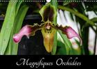 Couverture du livre « Magnifiques orchidees calendrier mural 2018 din a3 horizonta - belles photographies d orchide » de Woehlke J aux éditions Calvendo