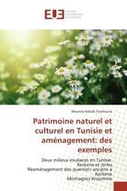 Couverture du livre « Patrimoine naturel et culturel en Tunisie et aménagement: des exemples : Deux milieux insulaires en Tunisie: Kerkena et Jerba Réaménagement des » de Mounira Kebaili Tarchouna aux éditions Editions Universitaires Europeennes