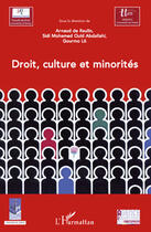 Couverture du livre « Droit, culture et minorités » de Arnaud De Raulin et Sidi Mohamed Ould Beidy et Gourmo Lo aux éditions Editions L'harmattan