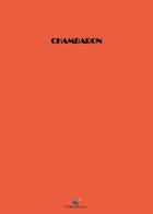 Couverture du livre « Le fourtoufounaire » de Chambaron aux éditions Dom