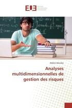 Couverture du livre « Analyses multidimensionnelles de gestion des risques » de Bilombo Raoul aux éditions Editions Universitaires Europeennes