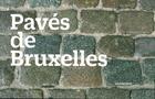 Couverture du livre « Les pavés de Bruxelles » de  aux éditions Aam - Archives D'architecture Moderne