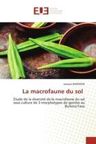 Couverture du livre « La macrofaune du sol - etude de la diversite de la macrofaune du sol sous culture de 3 morphotypes d » de Bazemon Jacques aux éditions Editions Universitaires Europeennes