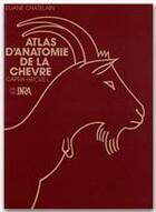 Couverture du livre « Atlas d'anatomie de la chèvre » de Chatelain aux éditions Quae
