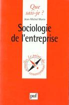 Couverture du livre « Sociologie de l'entreprise » de Jean-Michel Morin aux éditions Que Sais-je ?