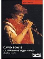 Couverture du livre « David Bowie; le phénomène Ziggy Stardust et autres essais » de Enrique Seknadje aux éditions Le Camion Blanc