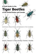 Couverture du livre « A Field Guide to the Tiger Beetles of the United States and Canada: Id » de Kazilek Charles J aux éditions Oxford University Press Usa