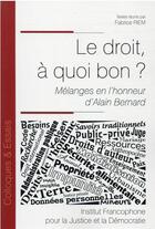 Couverture du livre « Le droit, à quoi bon ? mélanges en l'honneur d'Alain Bernard » de Fabrice Riem et Collectif aux éditions Ifjd