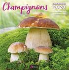 Couverture du livre « Calendrier champignons (2020) » de  aux éditions Artemis