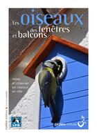 Couverture du livre « Les oiseaux des fenêtres et balcons » de Guilhem Lesaffre aux éditions Rustica