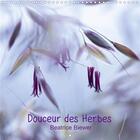 Couverture du livre « Douceur des herbes calendrier mural 2020 300 300 mm square - douceur des herbes douceur de » de Beatrice Biewer aux éditions Calvendo