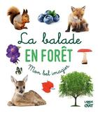 Couverture du livre « La balade en forêt » de  aux éditions Langue Au Chat