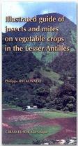 Couverture du livre « Illustrated guide of insects guide of insects and mites on vegetable crops in the Lesser Antilles » de Philippe Ryckewaert aux éditions Quae