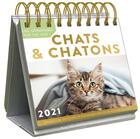 Couverture du livre « Le grand almaniak chats & chatons (édition 2021) » de  aux éditions Editions 365