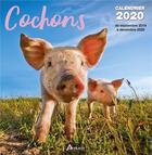 Couverture du livre « Calendrier cochon (2020) » de  aux éditions Artemis